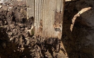 Disappearing Wood!
